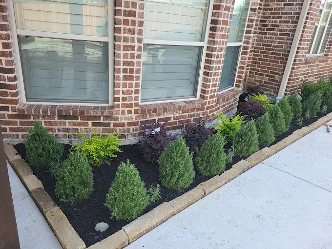 Flower bed with decorative hardscape stone edging and small bushes