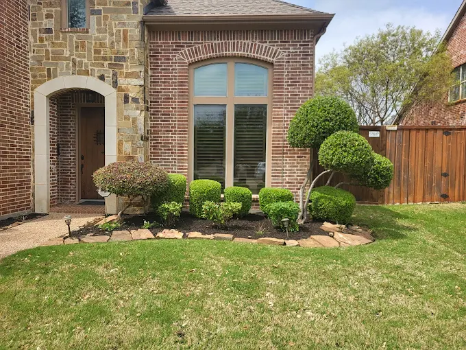 Flower bed with neatly trimmed and shaped bushes