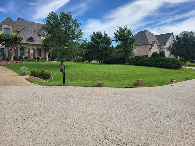 Wide shot of lush green grass in a well-kept neighborhood